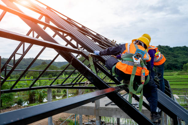 Best Storm Damage Roof Repair  in Bald Kno, AR